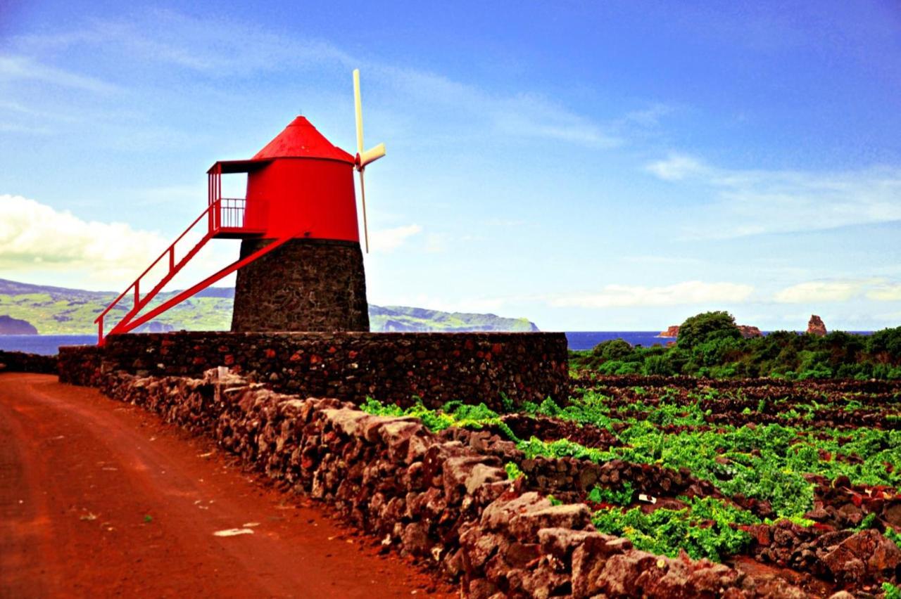 Casa Do Marcelino Lagarto Villa São Roque do Pico Kültér fotó